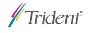 Trident DVD Drivers Download