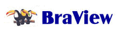 Free Braview Drivers Download